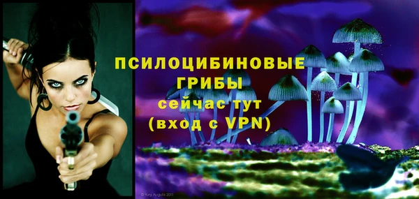 дмт Белокуриха