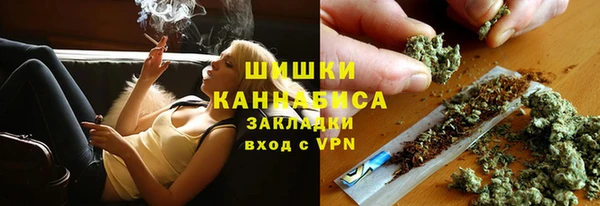 дмт Белокуриха